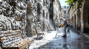 service professionnel de nettoyage extrême des fientes et excréments d’oiseaux à clermont-ferrand (63000). intervention rapide et efficace pour un environnement propre et sain.