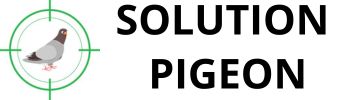 SOLUTION PIGEON LOGO horizontale