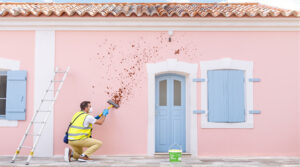 service professionnel de nettoyage des fientes de pigeons à antibes (06160). intervention rapide et devis personnalisé au +33 6 07 58 08 82.