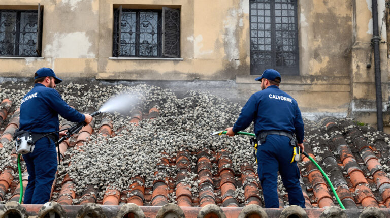 service professionnel de nettoyage des fientes de pigeons à bayonne (64100). devis gratuit, intervention rapide. contactez-nous au +33 6 07 58 08 82 pour un environnement propre et sain.