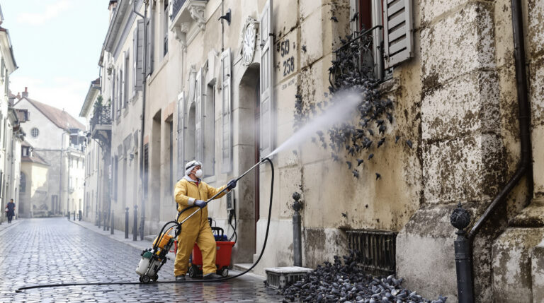 service professionnel de nettoyage des fientes de pigeons à beaune (21200). intervention rapide et devis gratuit au 06.07.58.08.82 pour une solution efficace et durable.