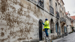 expert en nettoyage de fientes de pigeons à bourg-en-bresse (01000). service rapide et efficace. demandez votre devis gratuit au +33 6 07 58 08 82.