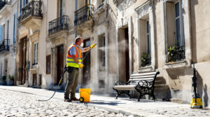 service professionnel de nettoyage des fientes de pigeons à bourgoin-jallieu (38300). intervention rapide et devis gratuit au +33 6 07 58 08 82. protégez votre habitation dès aujourd'hui.