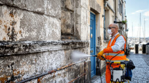 service professionnel de nettoyage des fientes de pigeons à brest (29200). intervention rapide et devis gratuit. contactez-nous au +33607580882 pour un environnement propre et sain.