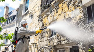 service professionnel de nettoyage des fientes de pigeons à châteaubriant (44110). intervention rapide et devis gratuit au 06.07.58.08.82.