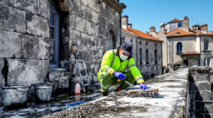 service professionnel de nettoyage des fientes de pigeons à chaumont (52000). intervention rapide et devis gratuit au +33 6 07 58 08 82. protégez votre environnement dès maintenant !