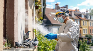 service professionnel de nettoyage des fientes de pigeons à cugnaux (31270). intervention rapide et devis gratuit. contactez-nous au 06.07.58.08.82 pour un environnement propre et sain.