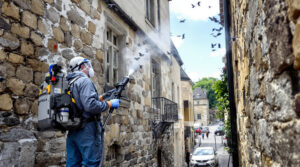 service professionnel de nettoyage des fientes de pigeons à le puy en velay (43000). devis gratuit, contactez-nous au 06.07.58.08.82 pour un environnement propre et sain.