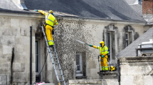 service professionnel de nettoyage des fientes de pigeons à lons-le-saunier (39000). intervention rapide et devis gratuit au 06.07.58.08.82.