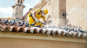 service professionnel de nettoyage des fientes de pigeons à lunel (34400). intervention rapide et devis gratuit. contactez-nous au +33 6 07 58 08 82 pour un environnement propre et sain.