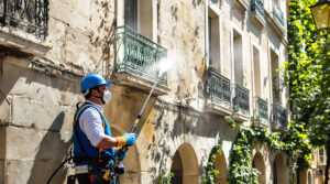 service professionnel de nettoyage des fientes de pigeons à lyon 7e (69007). intervention rapide et devis personnalisé au +33 6 07 58 08 82.