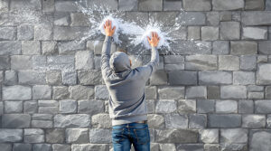 service professionnel de nettoyage des fientes de pigeons à muret (31600). intervention rapide et devis gratuit au +33 6 07 58 08 82.