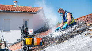 service professionnel de nettoyage des fientes de pigeons à tarnos 40220. intervention rapide et devis gratuit au 06.07.58.08.82.