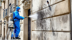 service professionnel de nettoyage des fientes de pigeons à thonon-les-bains (74200). contactez-nous pour un devis rapide au +33 6 07 58 08 82.