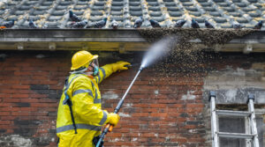 service professionnel de nettoyage des fientes de pigeons à yzeure (03400). intervention rapide et devis gratuit. contactez-nous au 06.07.58.08.82 pour un environnement propre et sain.