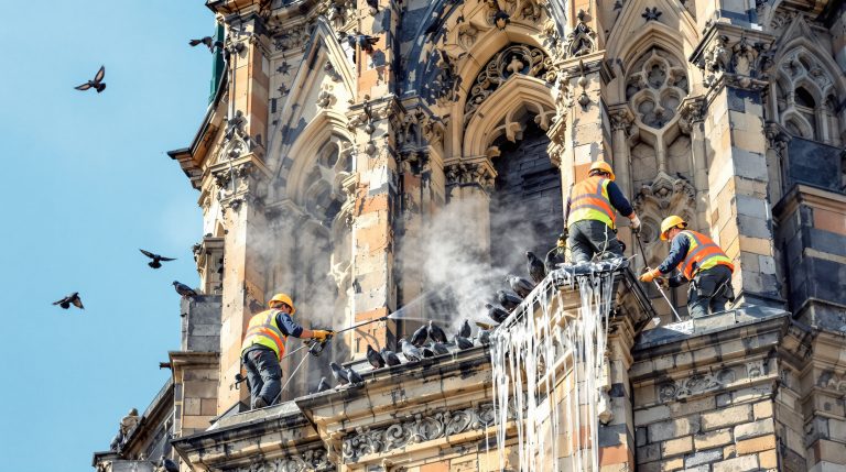 entreprise spécialisée dans le nettoyage des fientes de pigeons sur les clochers d'églises, offrant des services professionnels pour préserver la beauté et l'intégrité des monuments religieux.