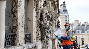 service professionnel de nettoyage des fientes de pigeons partout en france, pour un environnement propre et sain. intervention rapide et efficace garantie.