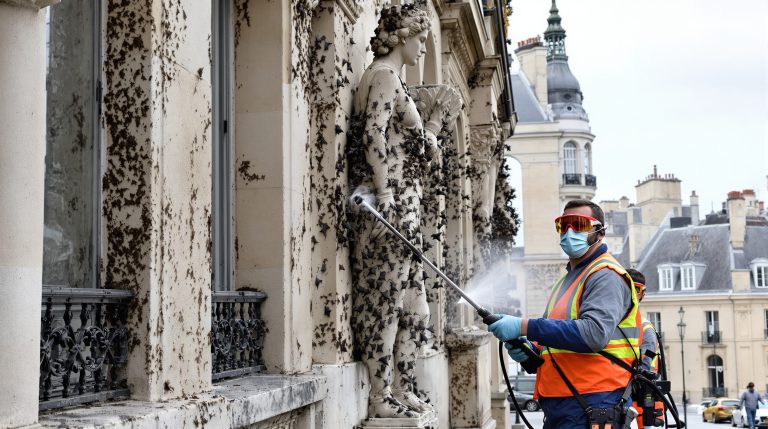 service professionnel de nettoyage des fientes de pigeons partout en france, pour un environnement propre et sain. intervention rapide et efficace garantie.