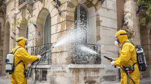 service professionnel de nettoyage et désinfection des fientes de pigeons disponible partout en france pour assurer hygiène et sécurité.