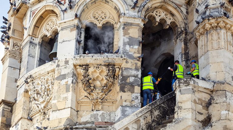service professionnel de nettoyage des fientes de pigeons sur les clochers, disponible partout en france pour garantir propreté et préservation des monuments.