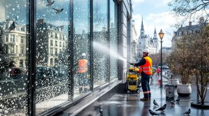 service professionnel de nettoyage des fientes de pigeons et des vitres, disponible partout en france. intervention rapide et efficace pour préserver la propreté de vos surfaces.