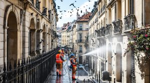 service professionnel de nettoyage des fientes de pigeons et solutions anti-nuisances disponibles partout en france pour protéger vos bâtiments et améliorer votre cadre de vie.
