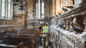 découvrez des méthodes efficaces et sécurisées pour enlever les fientes de pigeon dans une église, tout en respectant le patrimoine religieux et en préservant la propreté des lieux sacrés.