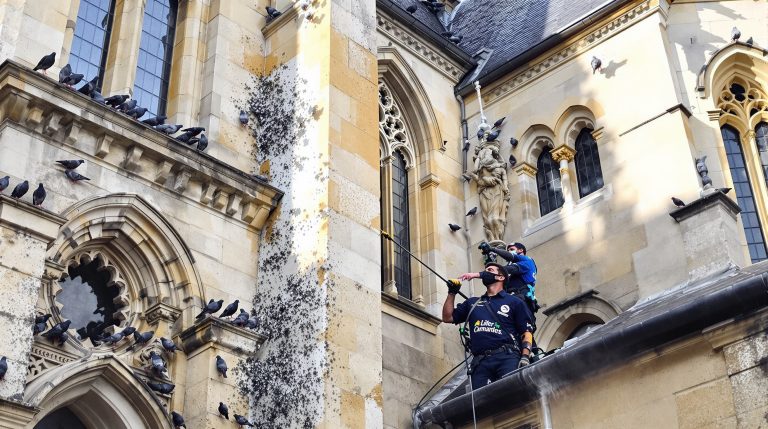 service professionnel de nettoyage des fientes de pigeons pour églises dans l'allier (03), assurant propreté et protection des bâtiments religieux.
