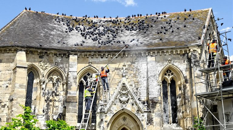 service professionnel de nettoyage des fientes de pigeons pour églises en corrèze (19). experts en entretien et protection des bâtiments religieux contre les dégâts causés par les pigeons.