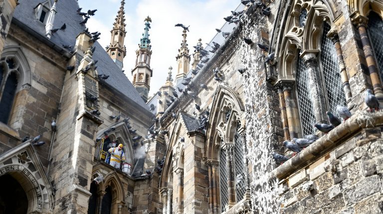 entreprise spécialisée dans le nettoyage des fientes de pigeons pour églises en côte d’armor (22). service professionnel et respectueux du patrimoine.