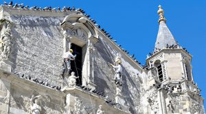 service professionnel de nettoyage des fientes de pigeons pour églises dans la creuse (23). intervention rapide et efficace pour préserver la propreté et le patrimoine.