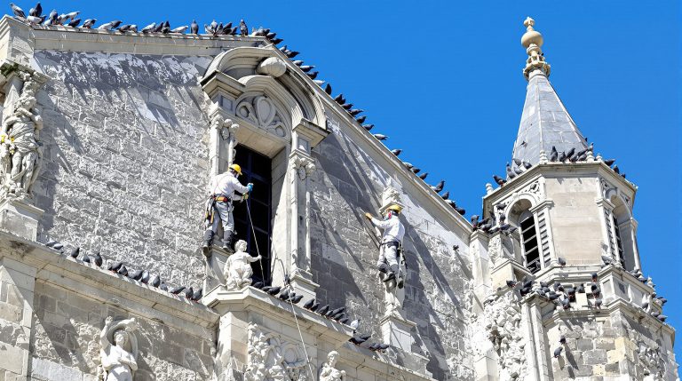 service professionnel de nettoyage des fientes de pigeons pour églises dans la creuse (23). intervention rapide et efficace pour préserver la propreté et le patrimoine.