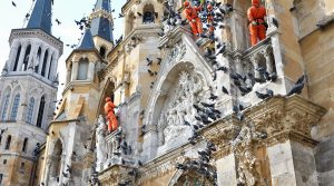 entreprise spécialisée dans le nettoyage des fientes de pigeons pour églises dans le doubs (25), offrant des services professionnels, efficaces et respectueux du patrimoine.