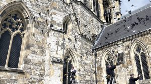 service professionnel de nettoyage et désinfection des fientes de pigeons pour églises dans le finistère (29). intervention rapide et efficace pour la préservation de vos bâtiments.