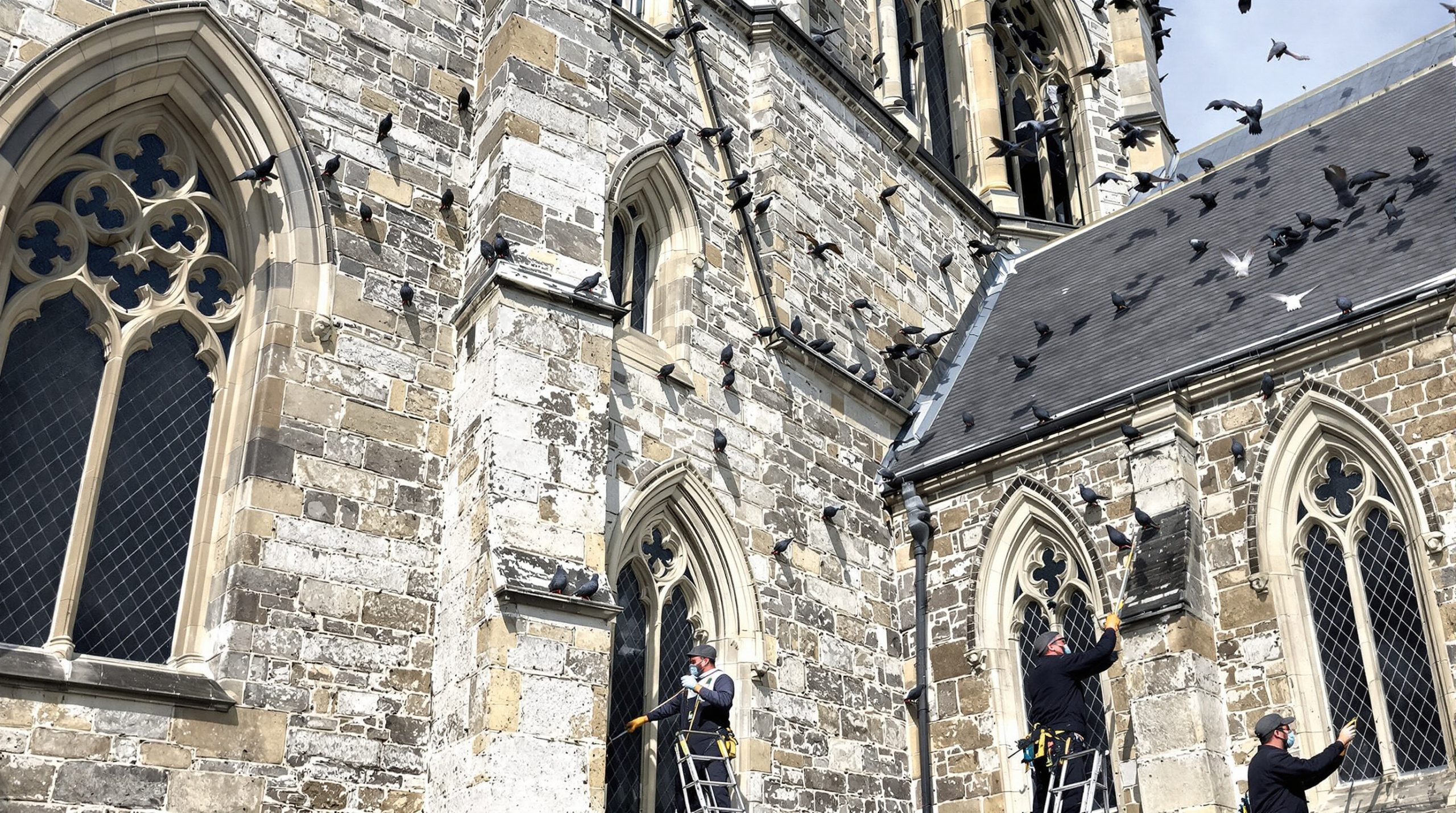 service professionnel de nettoyage et désinfection des fientes de pigeons pour églises dans le finistère (29). intervention rapide et efficace pour la préservation de vos bâtiments.