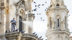 entreprise spécialisée dans le nettoyage des fientes de pigeons pour églises en gironde (33), offrant des services professionnels et efficaces pour préserver la propreté et la sécurité des lieux sacrés.