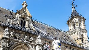 entreprise spécialisée dans le nettoyage des fientes de pigeons pour églises dans le haut rhin (68). intervention rapide et efficace pour préserver vos bâtiments religieux.