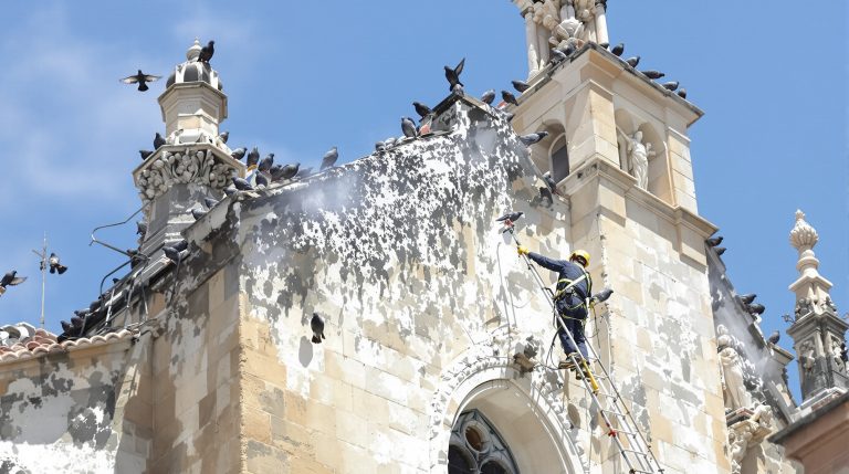 service professionnel de nettoyage des fientes de pigeons pour églises en haute garonne (32). nettoyage efficace et respectueux du patrimoine religieux.