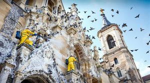 service professionnel de nettoyage des fientes de pigeons pour églises en haute loire (43), garantissant propreté et préservation des bâtiments historiques.