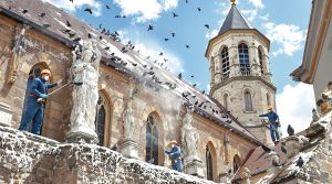 service professionnel de nettoyage des fientes de pigeons pour églises en haute-saône (70), assurant propreté et conservation du patrimoine religieux.