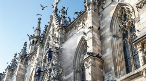 service professionnel de nettoyage des fientes de pigeons pour églises en ile et vilaine (35). expertise, efficacité et respect du patrimoine religieux.