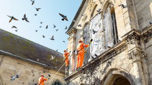 entreprise spécialisée dans le nettoyage des fientes de pigeons pour églises en loire et cher (41), offrant des services professionnels et efficaces pour préserver la propreté et la sécurité des bâtiments.