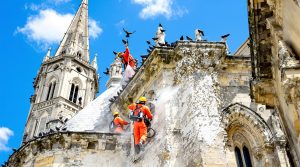 service professionnel de nettoyage des fientes de pigeons pour églises dans le lot (46). intervention rapide et efficace pour préserver la propreté et la sécurité de vos bâtiments religieux.