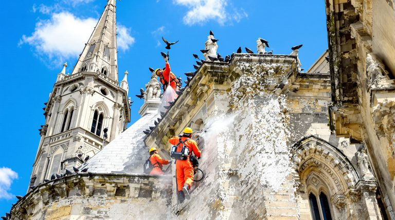 service professionnel de nettoyage des fientes de pigeons pour églises dans le lot (46). intervention rapide et efficace pour préserver la propreté et la sécurité de vos bâtiments religieux.