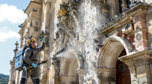 service professionnel de nettoyage des fientes de pigeons pour les églises en lozère (48). interventions efficaces et respectueuses du patrimoine.