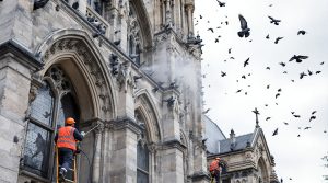 service professionnel de nettoyage des fientes de pigeons pour églises dans le nord (59). protection et entretien pour préserver vos bâtiments historiques.