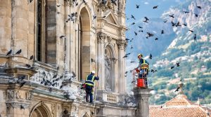 service professionnel de nettoyage des fientes de pigeons pour églises dans les pyrénées-orientales (66). intervention rapide et efficace pour préserver la propreté et la sécurité de vos bâtiments religieux.