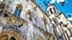 entreprise spécialisée dans le nettoyage des fientes de pigeons pour les églises en sarthe (72). service professionnel et efficace pour préserver vos monuments.