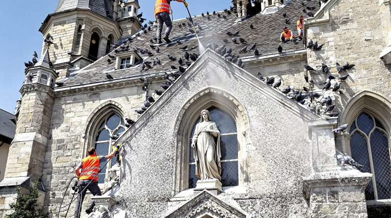 entreprise spécialisée dans le nettoyage des fientes de pigeons pour églises en savoie (73). services professionnels pour préserver l'intégrité et la propreté de vos bâtiments religieux.