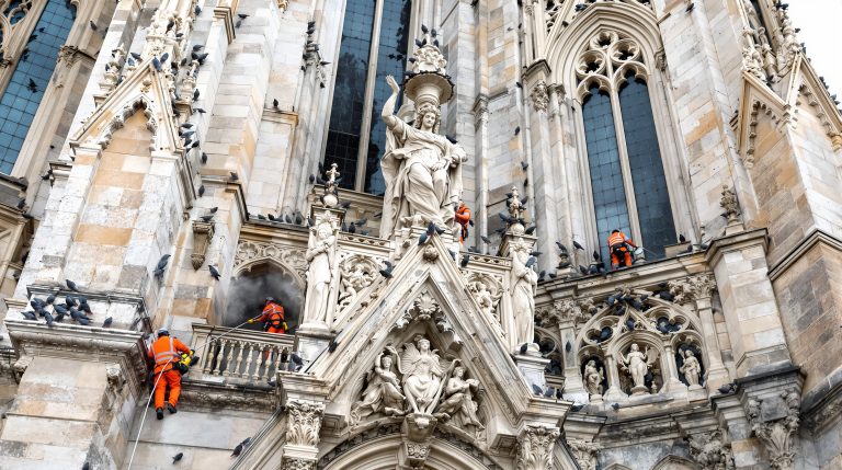 service professionnel de nettoyage des fientes de pigeons pour églises en seine maritime (76). intervention rapide et efficace pour préserver la propreté et la beauté de vos bâtiments religieux.